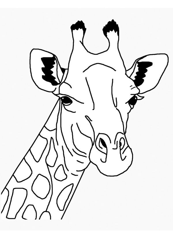 Giraffhuvud Målarbild