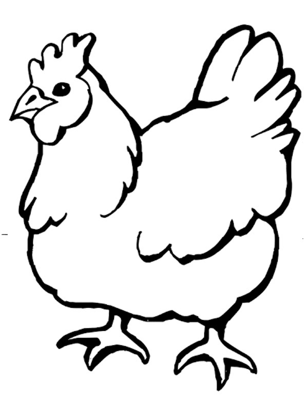 Kyckling Målarbild