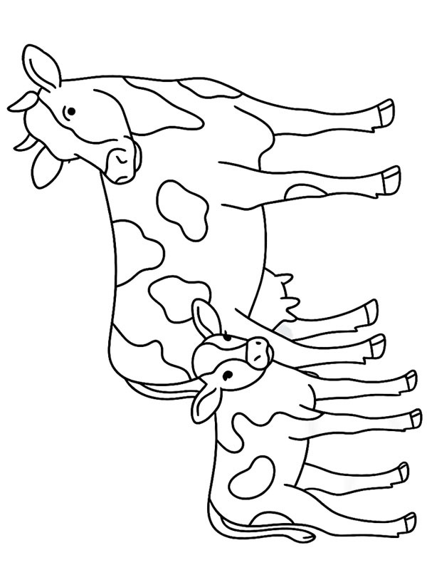 Ko med kalv Målarbild Ko med kalv Målarbild