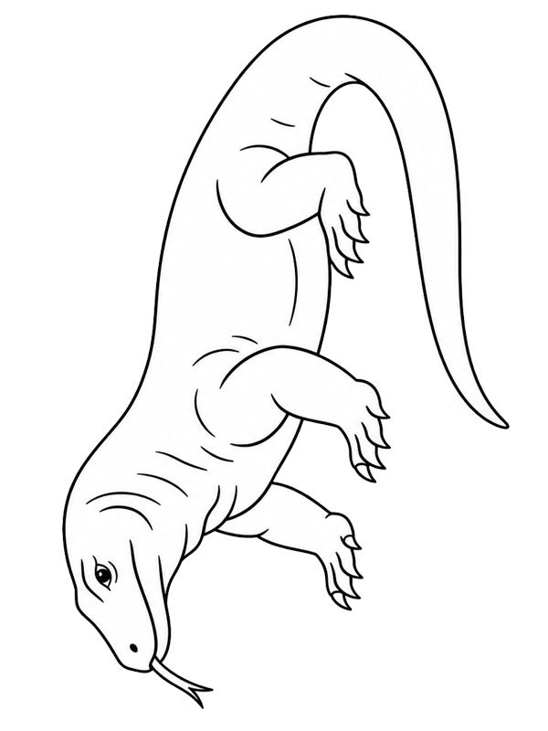Komodovaran Målarbild