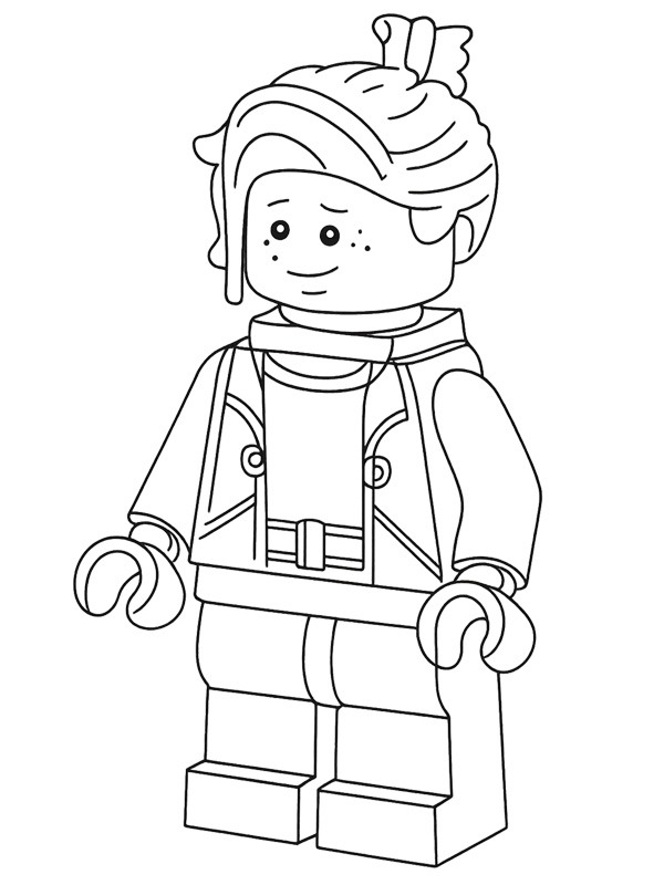LEGO Nash Durango Målarbild LEGO Nash Durango Målarbild