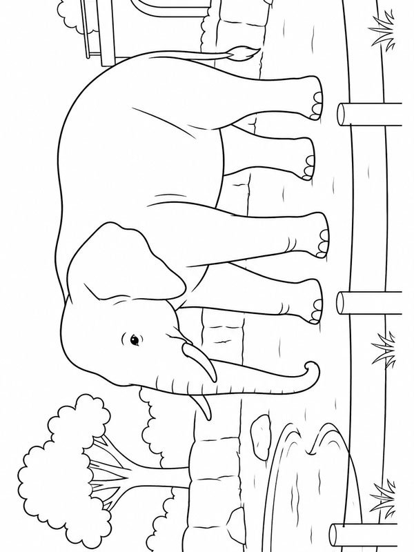 Elefant i djurparken Målarbild