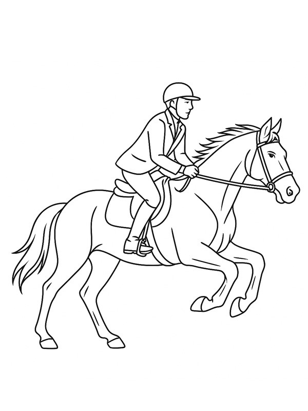 Häst i galopp med ryttare Målarbild Häst i galopp med ryttare Målarbild