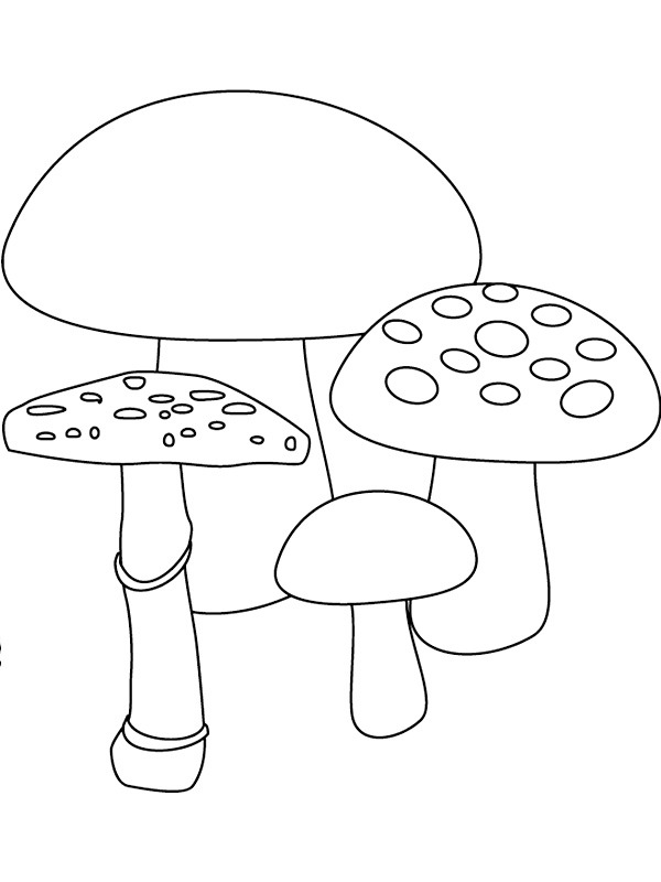 4 svampar Målarbild