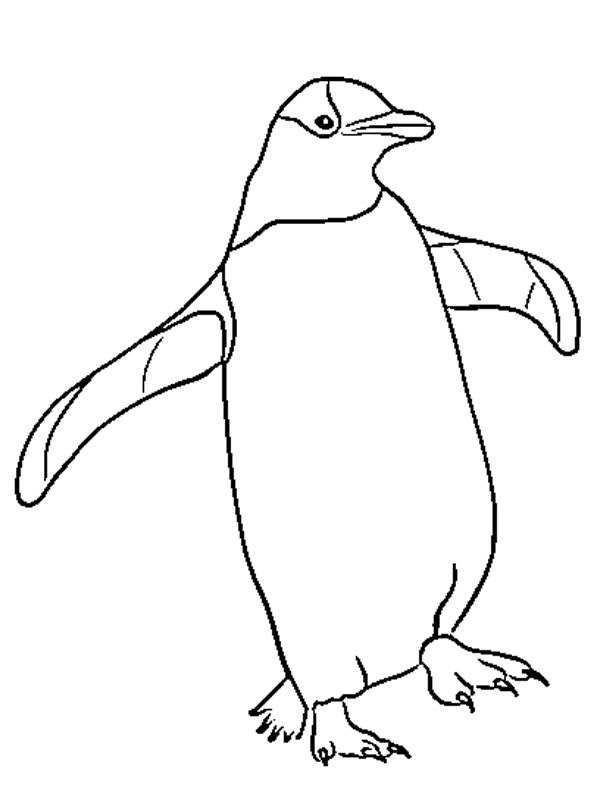 Pingvin Målarbild