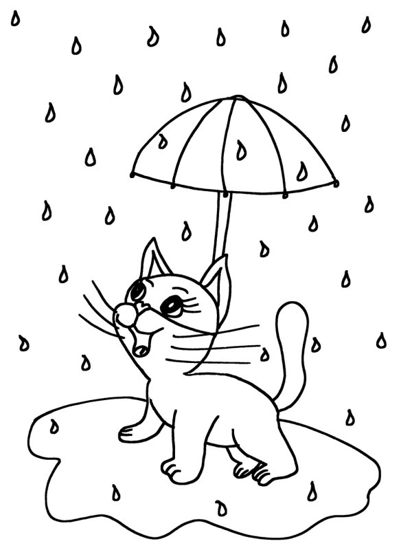 Katt i regn Målarbild