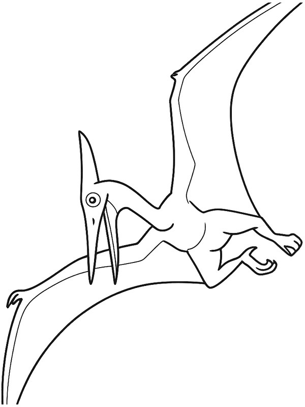 Pteranodon Målarbild