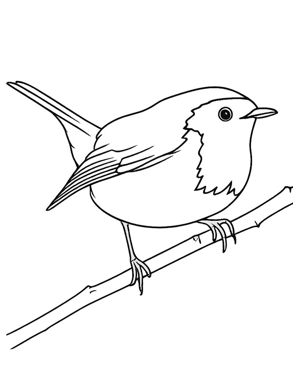 R&ouml;dhake Målarbild