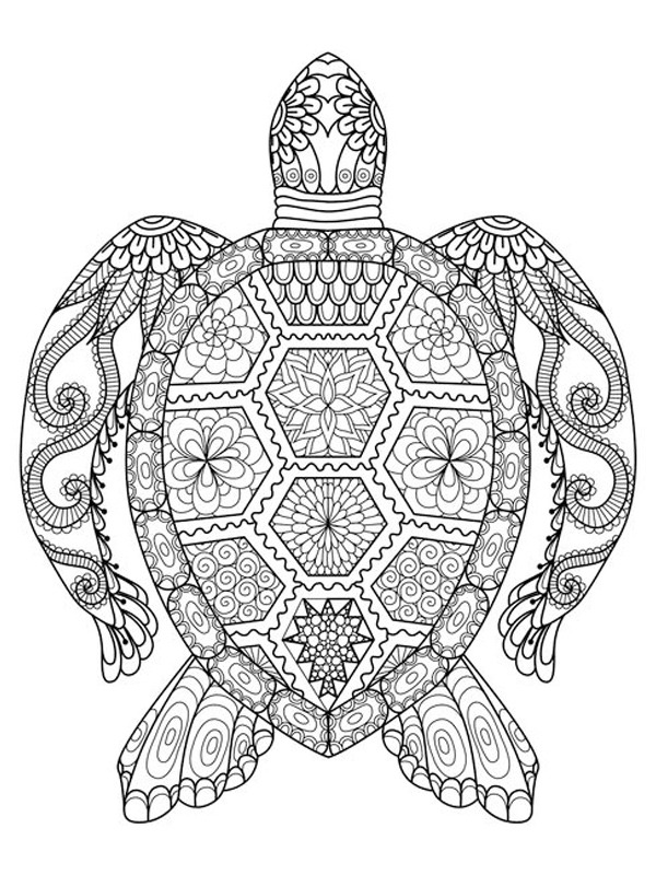 Sköldpadda mandelatatuering Målarbild