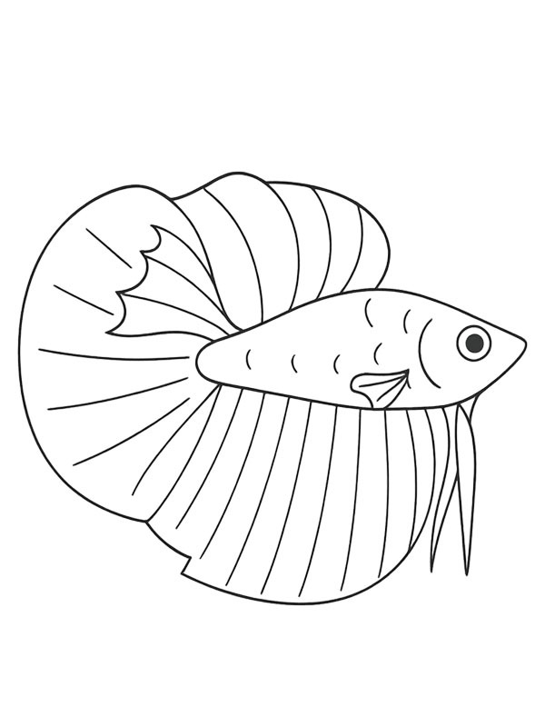 Siamesisk kampfisk Målarbild Siamesisk kampfisk Målarbild