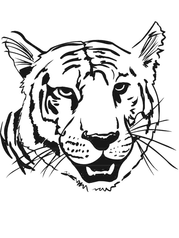 Tigerhuvud Målarbild
