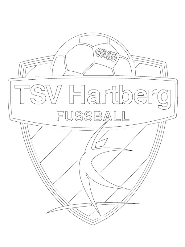 TSV Hartberg Målarbild
