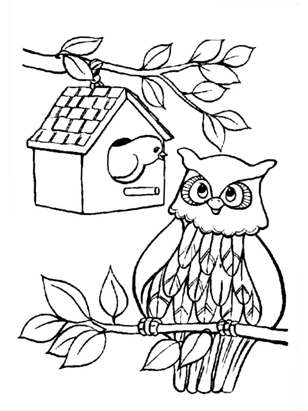 Fågel och uggla Målarbild Fågel och uggla Målarbild