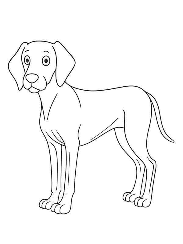 Weimaraner Målarbild Weimaraner Målarbild